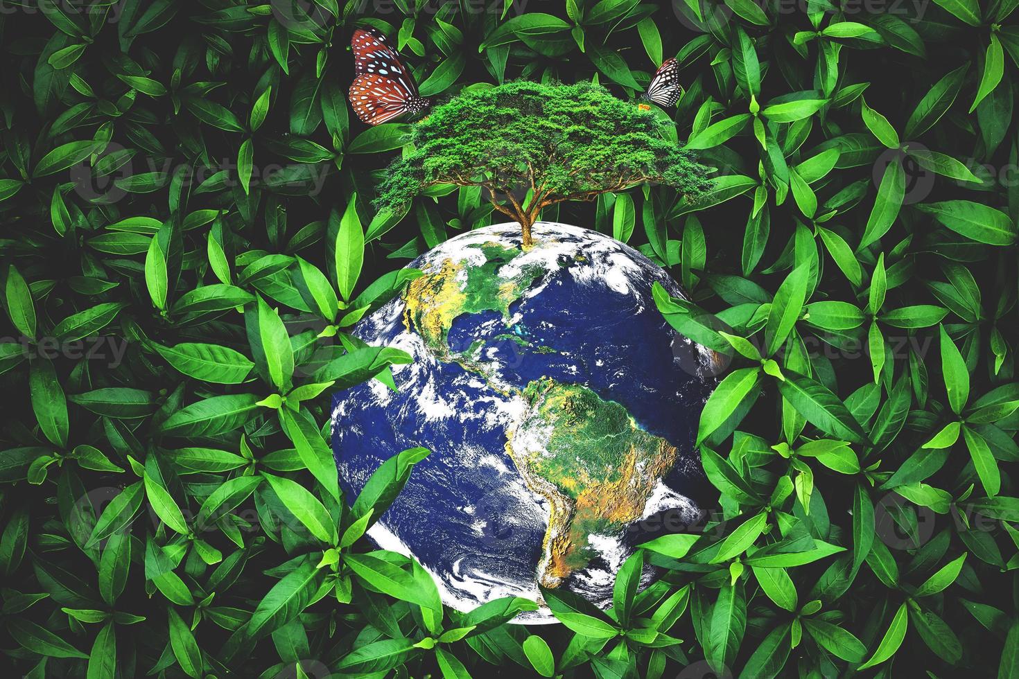 Nature background image concept.  Net-zero Emission Concept. Love the Earth, Save the Environment photo