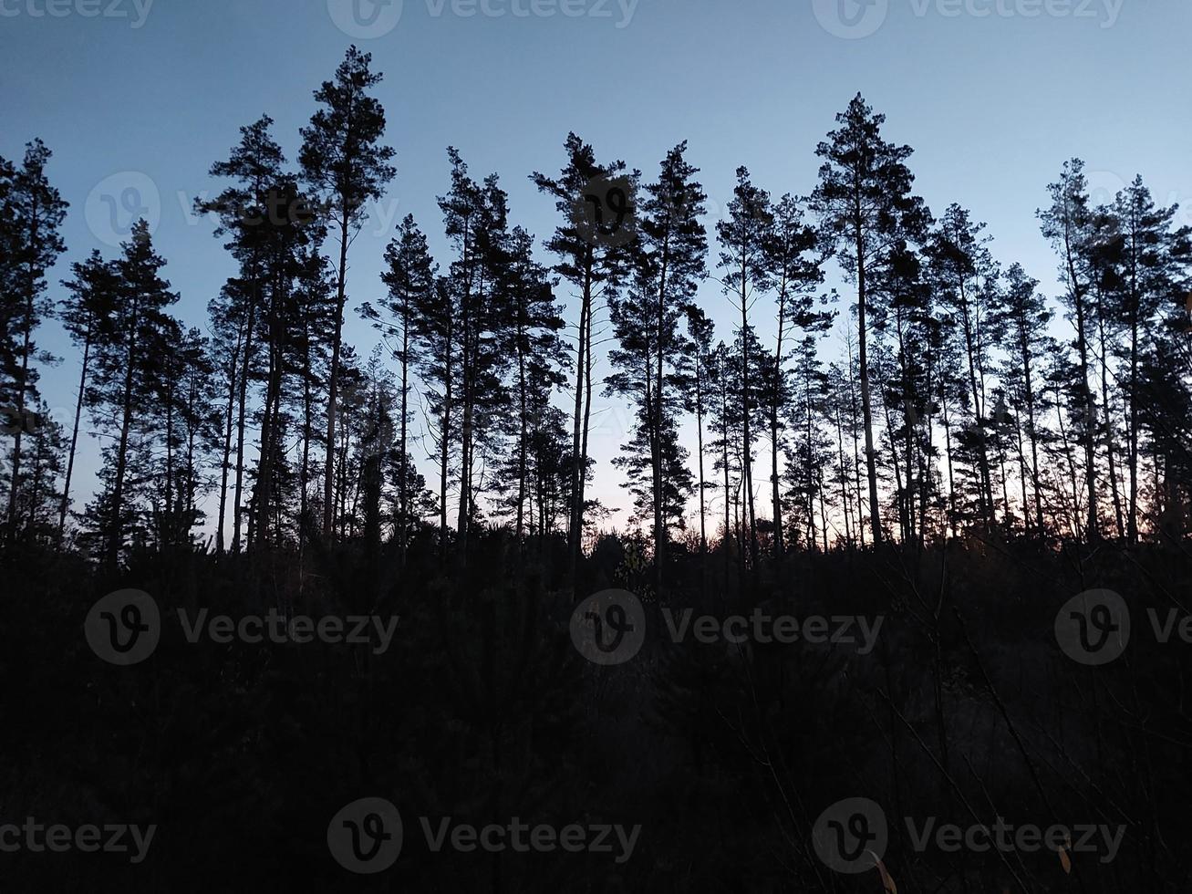 Morning and night panorama of dawn photo