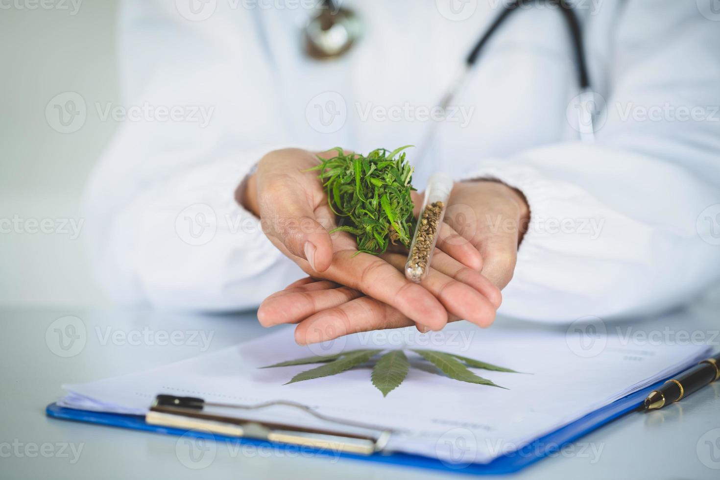 The doctor held marijuana and  and offer to patient medical marijuana.  alternative remedy or medication,medicine concept. photo