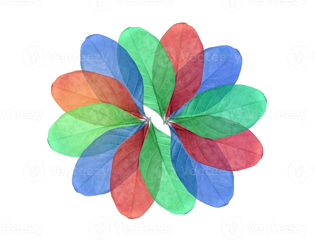 Abstract colorful Leaf isolated on white photo