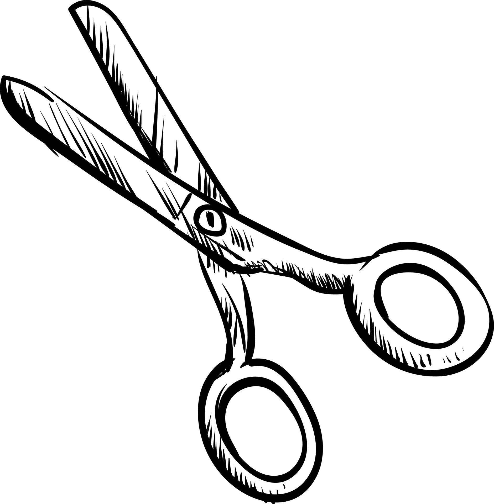 Scissors sketch, illustration, vector on white background. 13845127