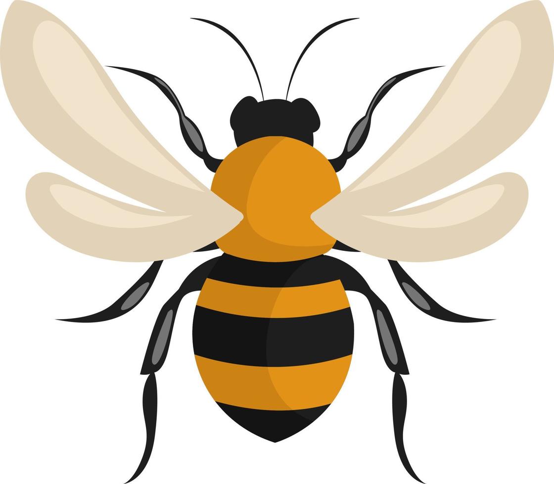 abeja grande, ilustración, vector sobre fondo blanco