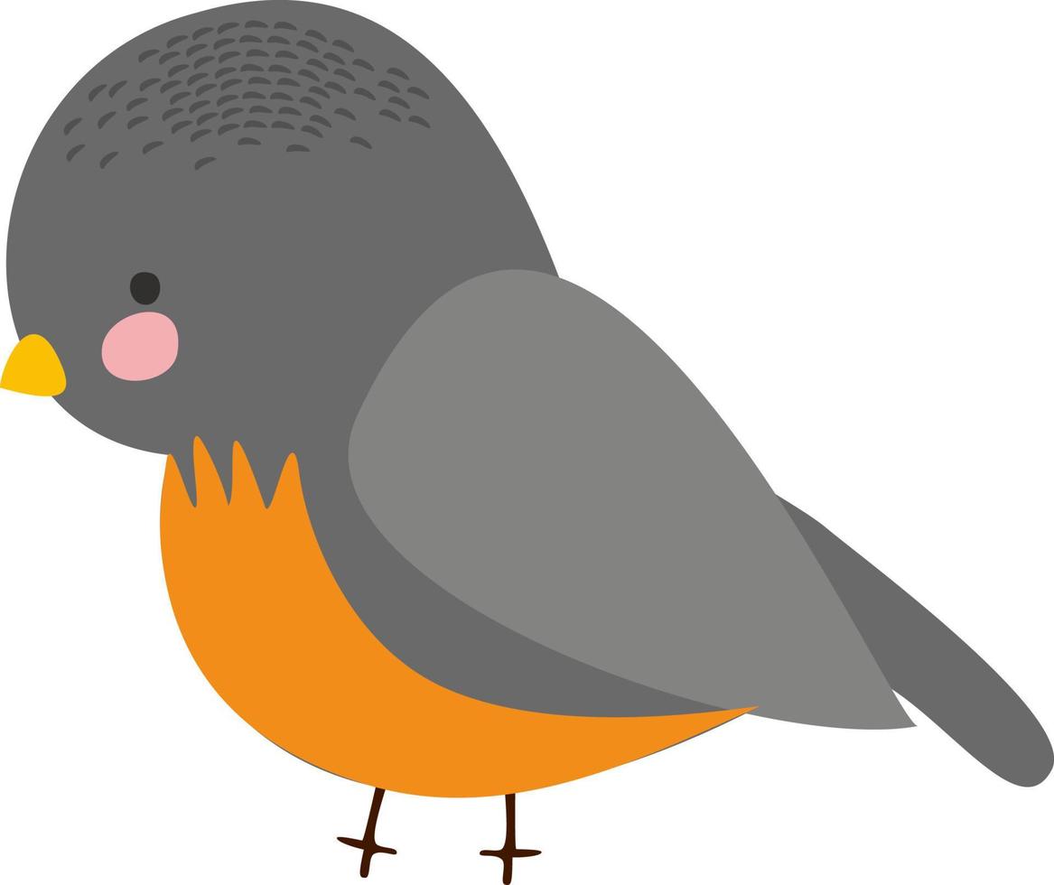 pájaro gris, ilustración, vector sobre fondo blanco.