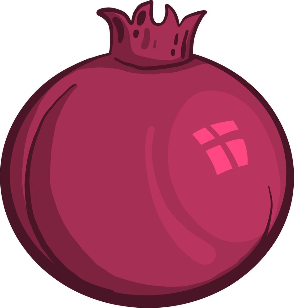 Pink pomegranate , illustration, vector on white background