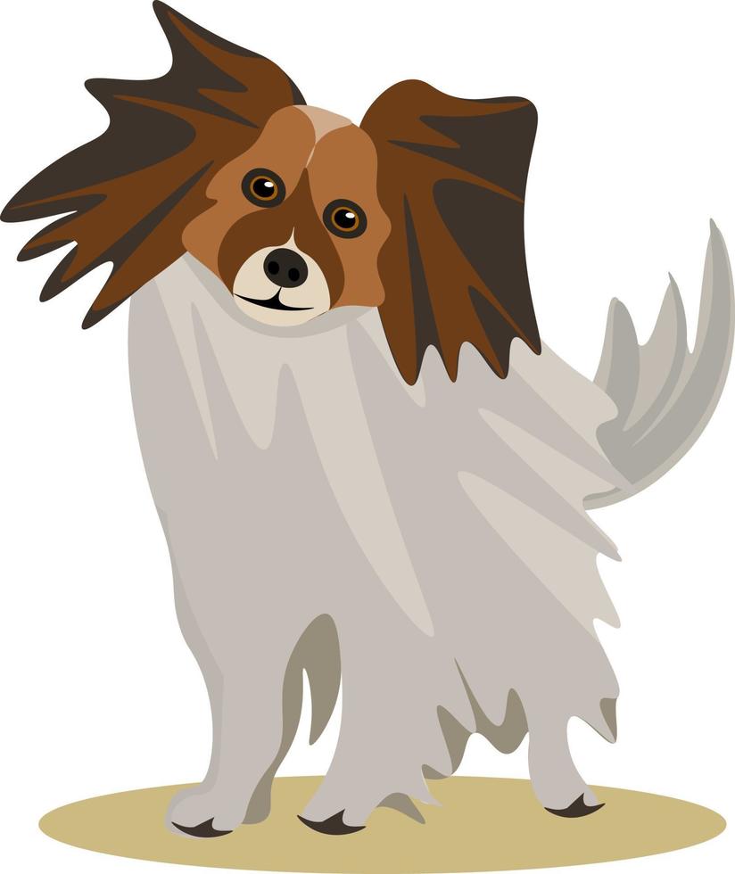 Perro papillon, ilustración, vector sobre fondo blanco.