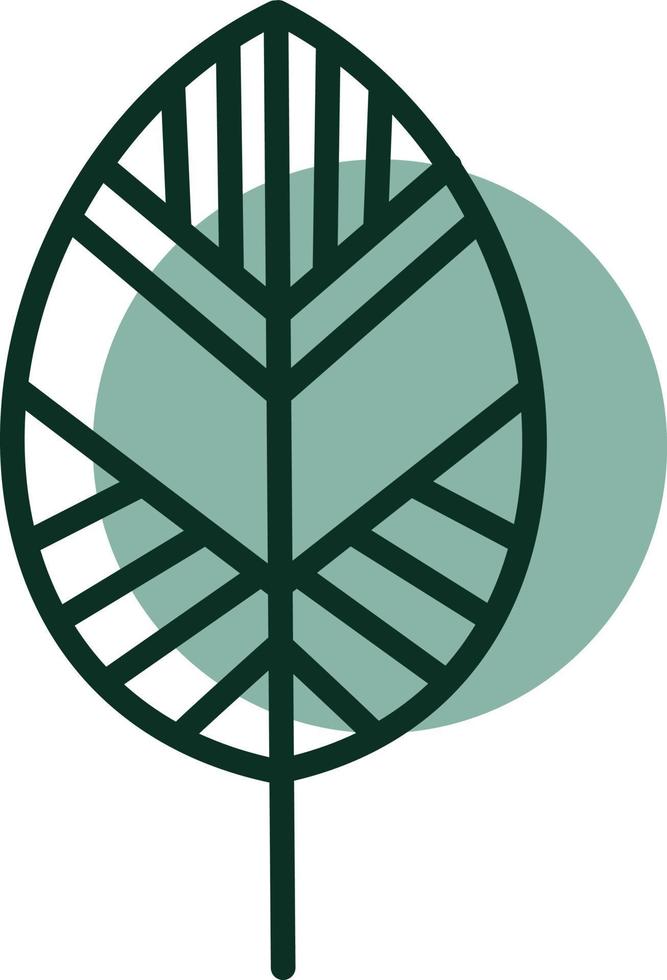 Green circular leaf, illustration, vector, on a white background. vector