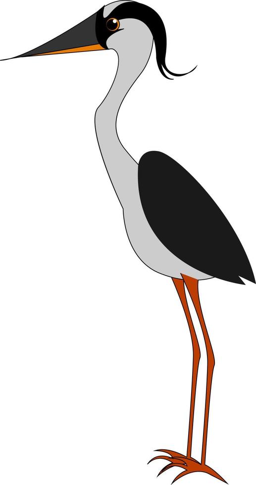 Gray bird with long legs, illustration, vector on white background.