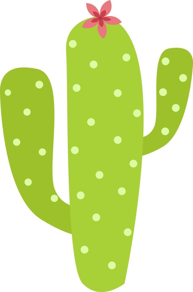 Cactus, illustration, vector on white background.