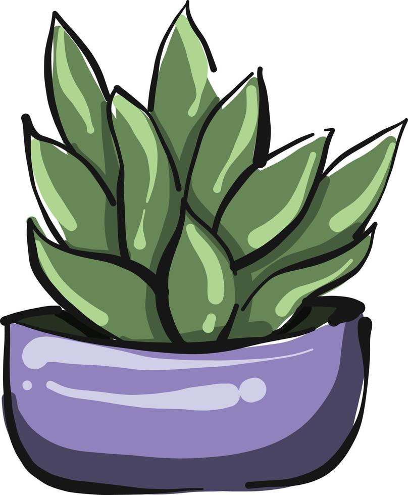 Plant in a purple pot, illustration, vector on white background.