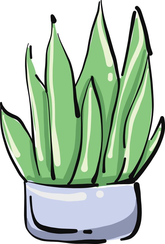 Plants in a pot, illustration, vector on white background.