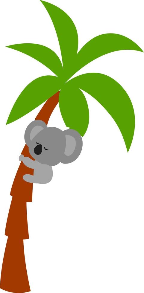 Koala on tree, illustration, vector on white background.