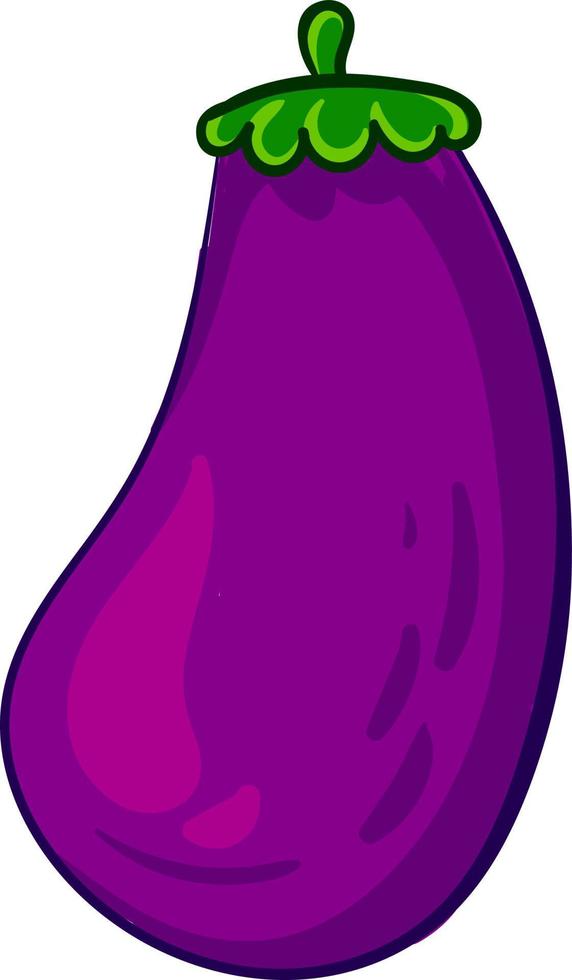 Beautiful eggplant, illustration, vector on white background