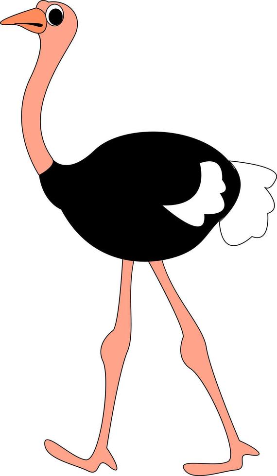 Walking ostrich, illustration, vector on white background.