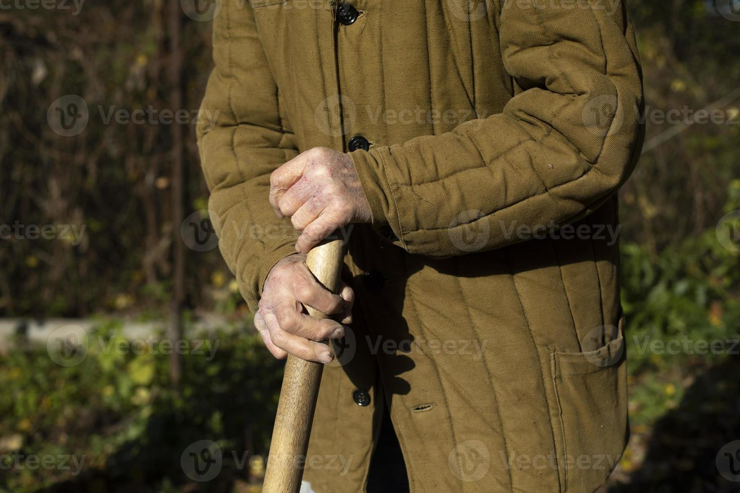 Old man's hands. Old man holding stick. Poor clothes. Elderly person works on land. photo