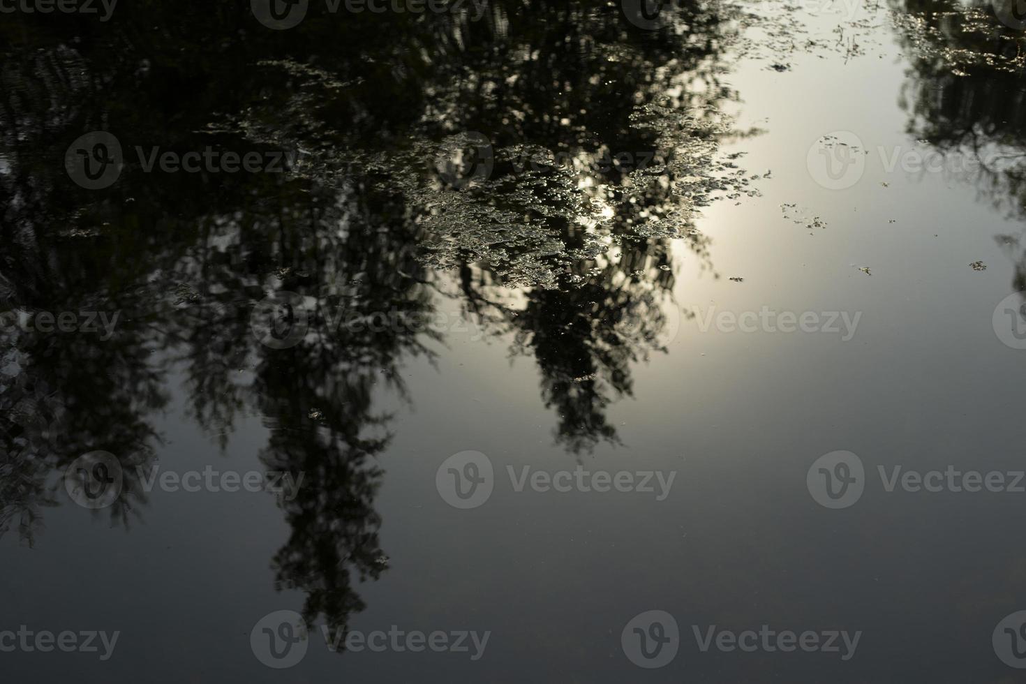 Water in pond. Reflection in water. Lake in park. photo