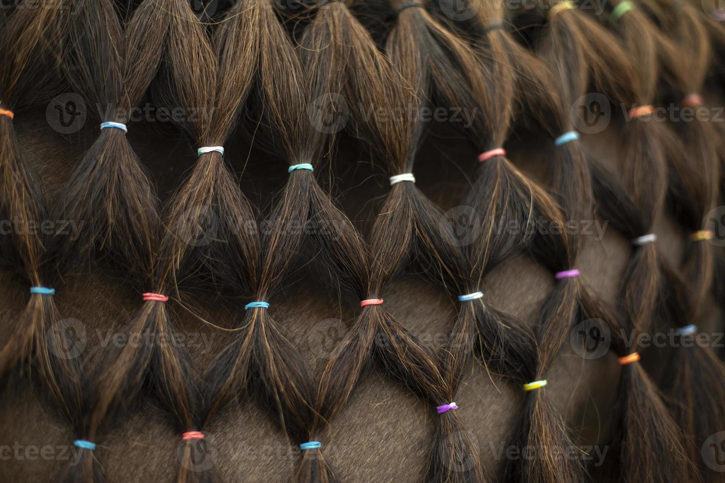 Horse hair. Hair pattern. Horse mane. Small elastic bands for hairstyle. photo