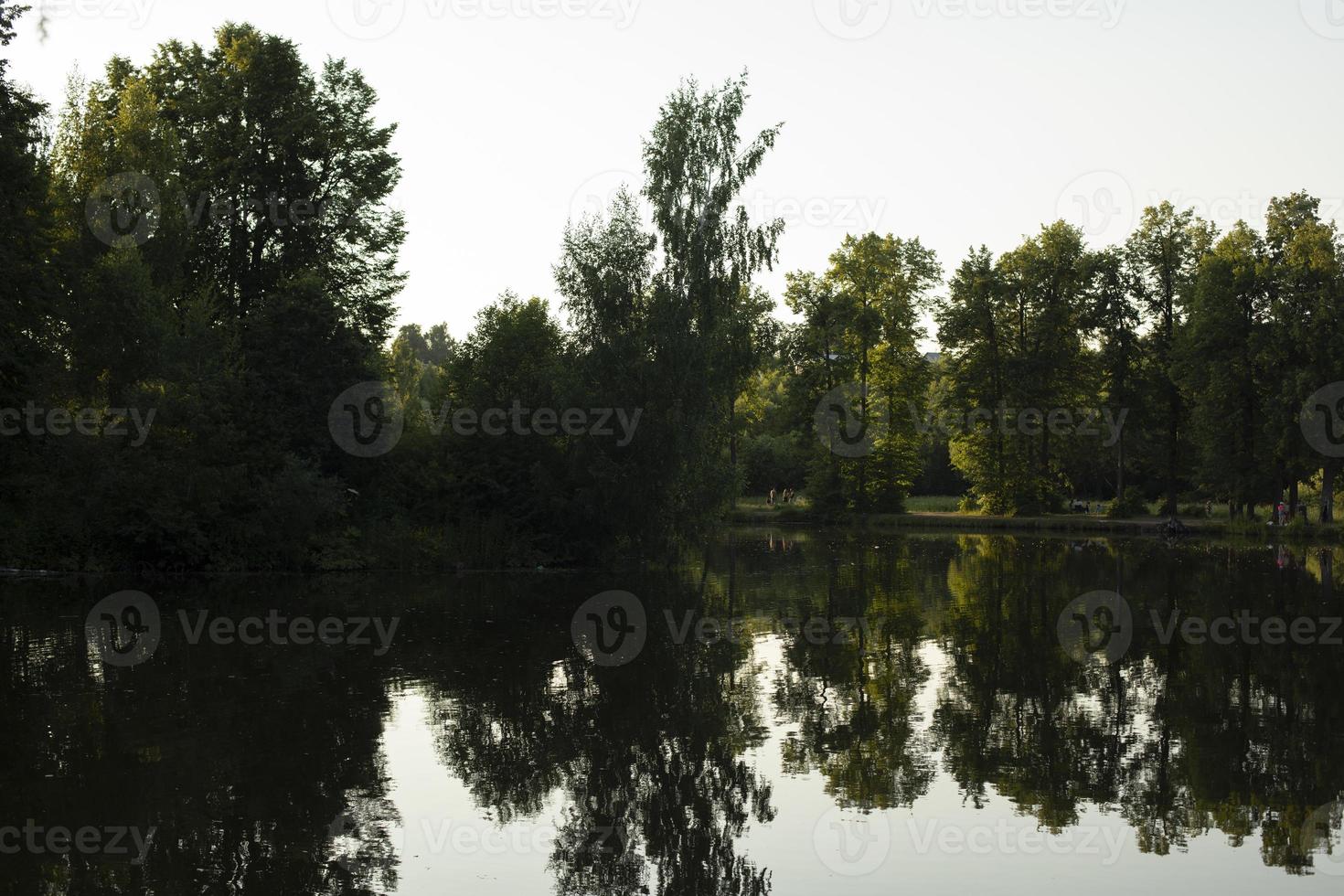 árboles reflejados en el agua. lago en el parque. estanque de verano en finca. foto