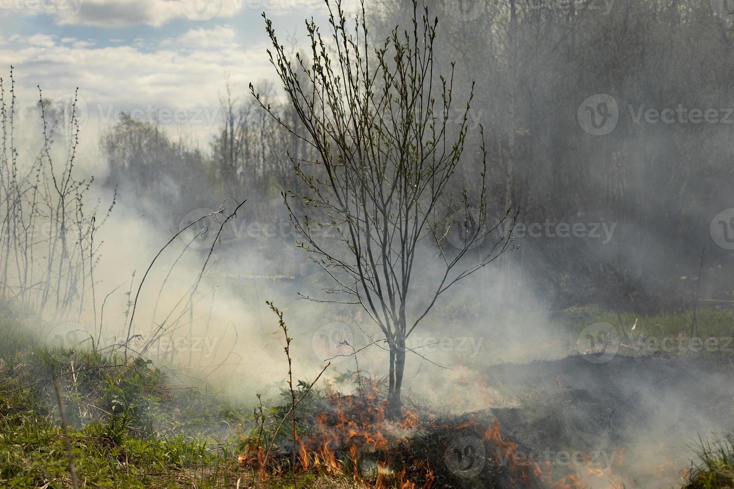 Black smoke from fire. Burning of garbage. Destruction of nature. Environmental disaster. photo