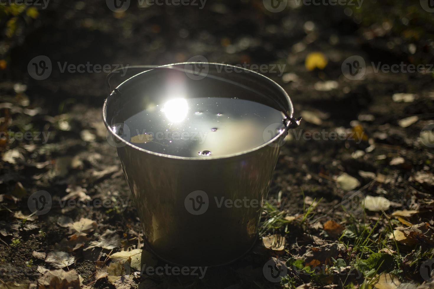 Water in bucket. Bucket in garden. Water for watering plants. Details of rural life. photo