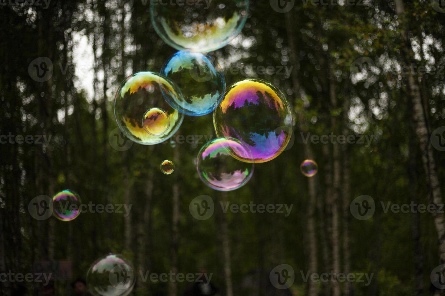 Soap bubbles fly through air. Balloons on background of forest. Soap solution for holiday. photo