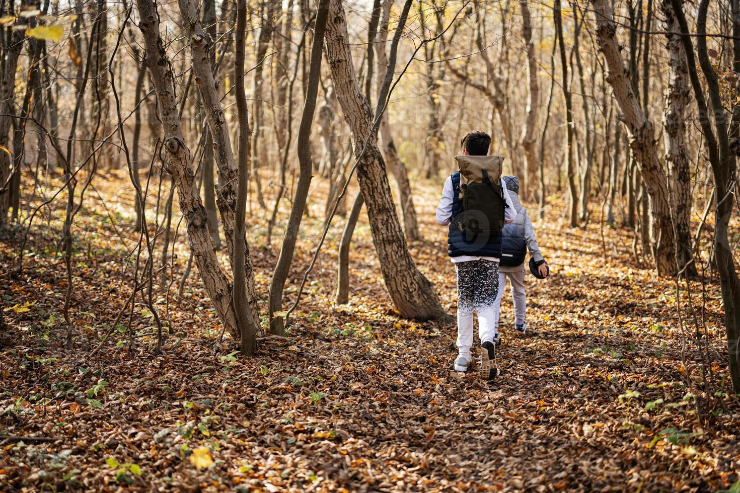 retrato al aire libre de otoño de dos hermanos caminando en el bosque. foto