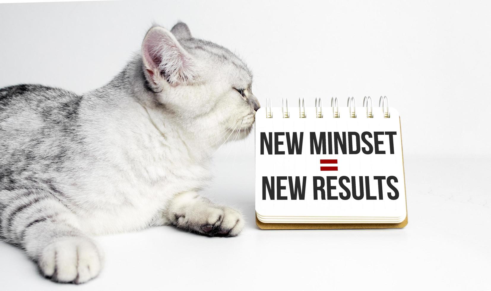 New Mindset - New Results text on a notepad with grey cat photo