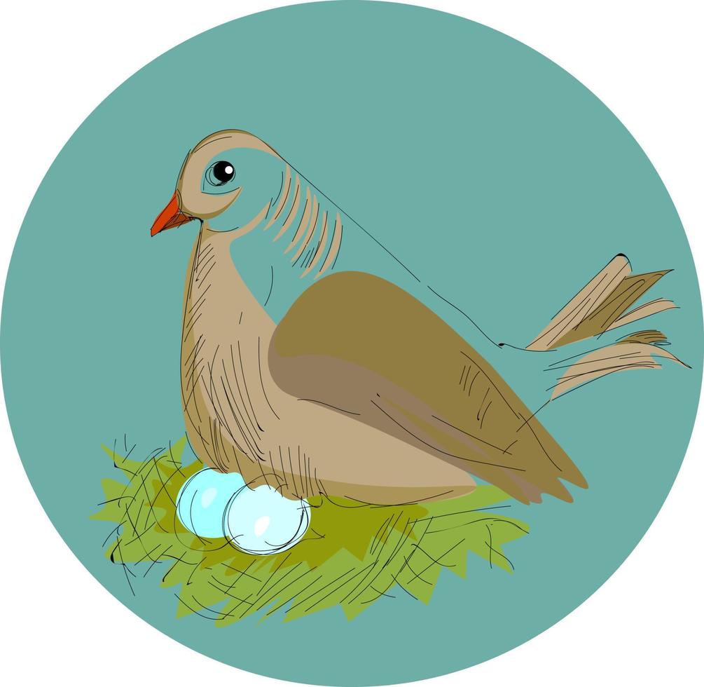 Bird in a nest, illustration, vector on white background