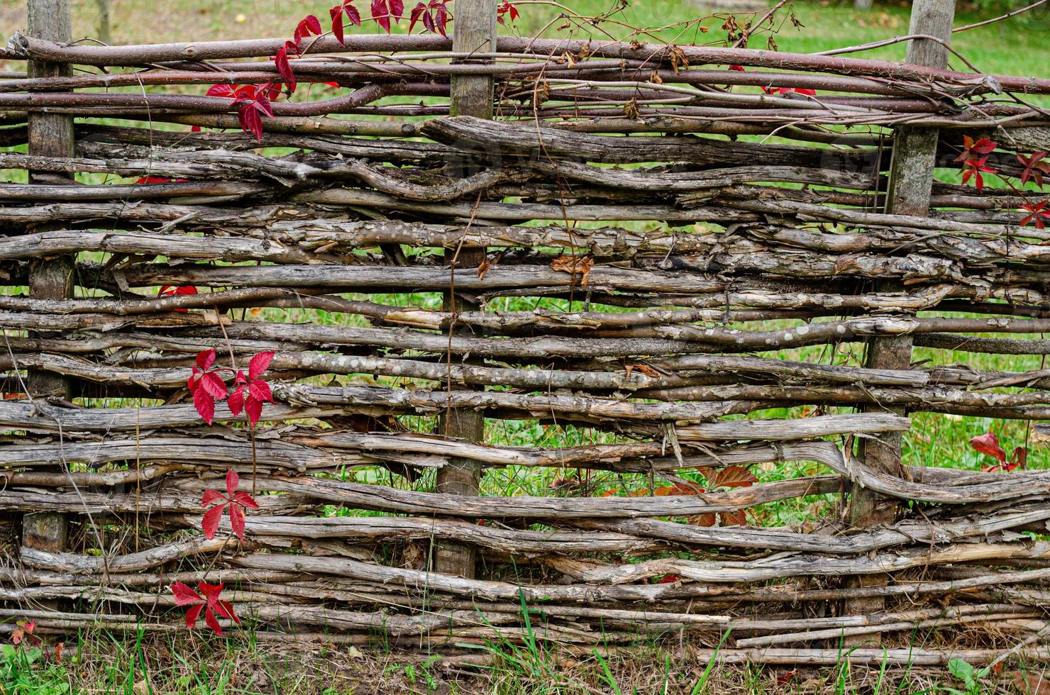 Old wooden fence. photo