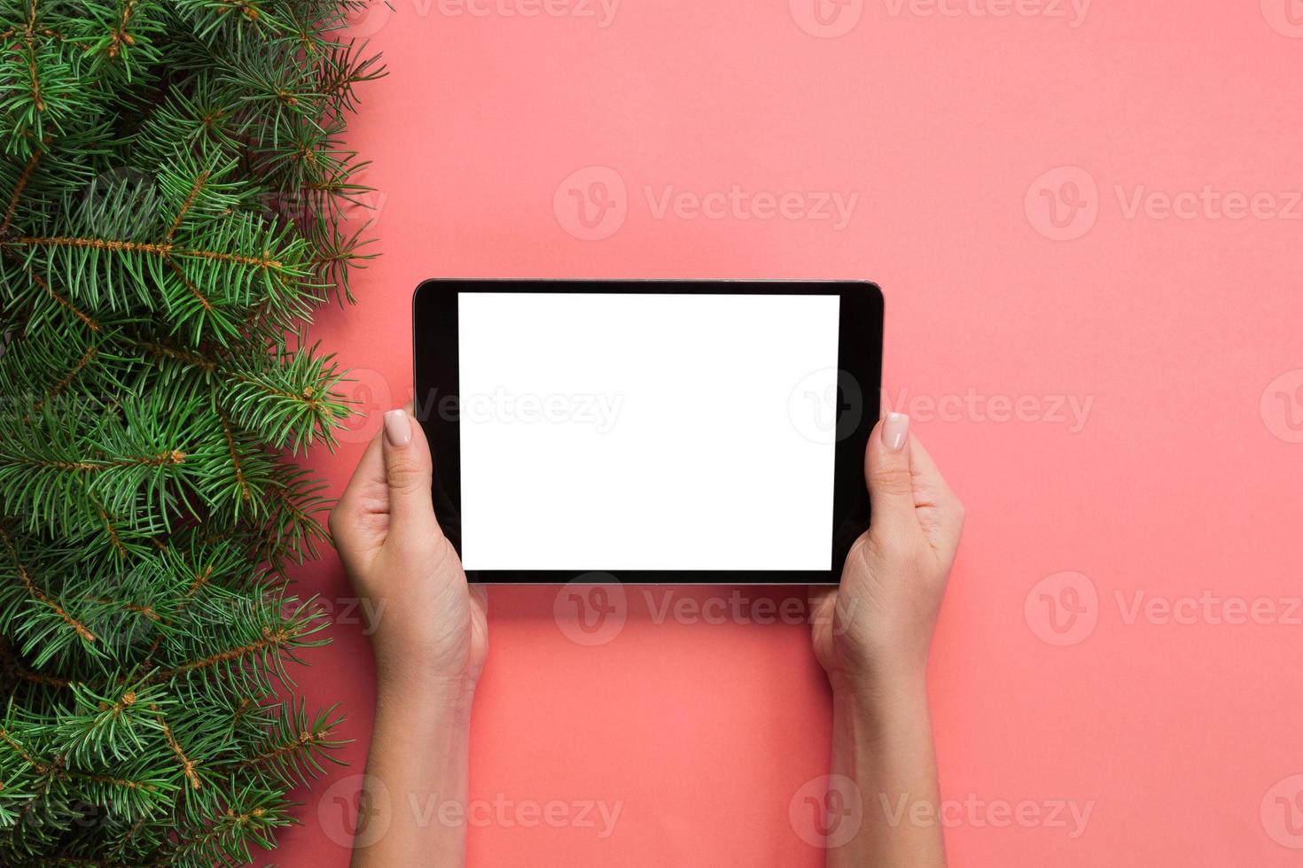 female hands with tablet computer on pink christmas background. Xmas tree branch top view photo