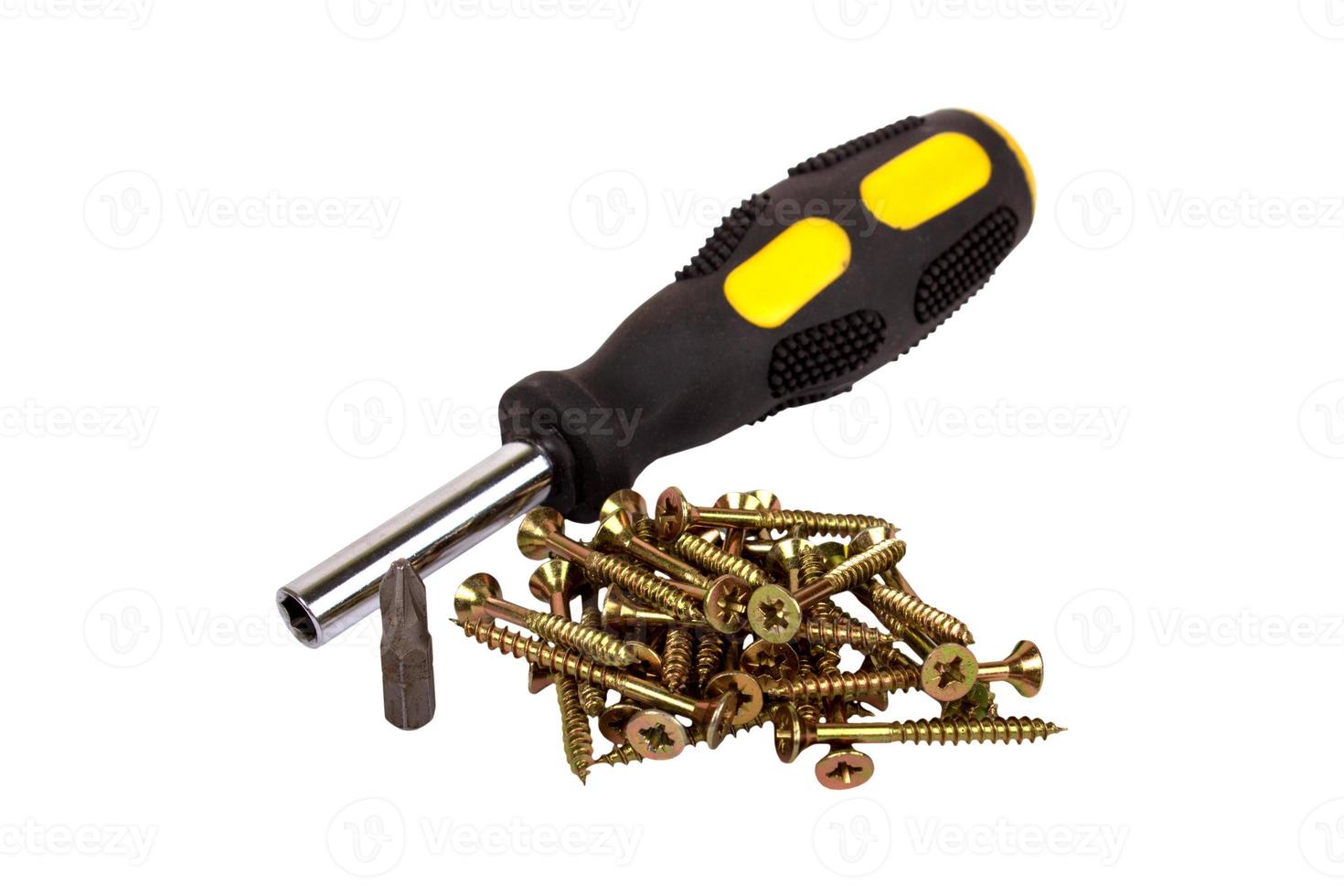 Screws and screwdriver isolated photo