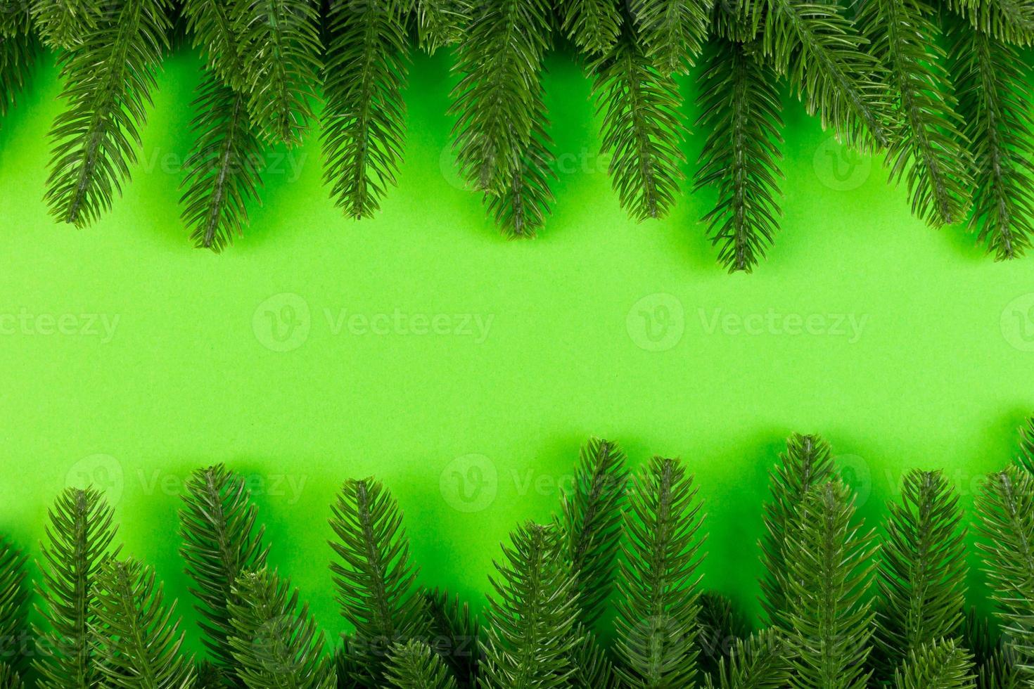 Top view of frame made of fir tree on colorful background with copy space. Merry Christmas concept photo