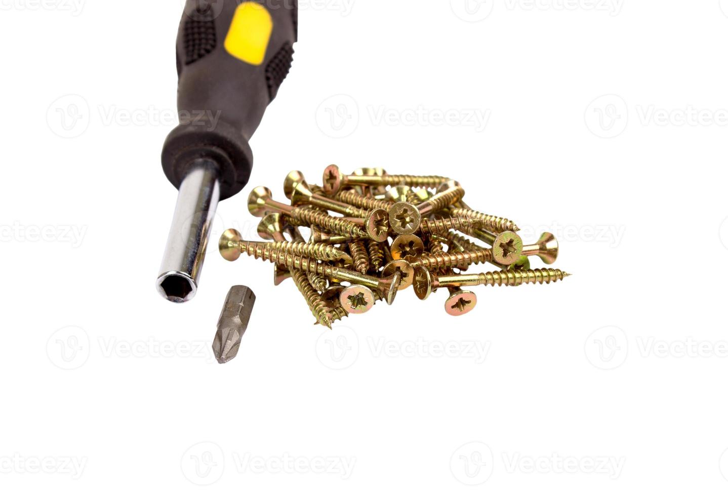 Screws and screwdriver isolated photo