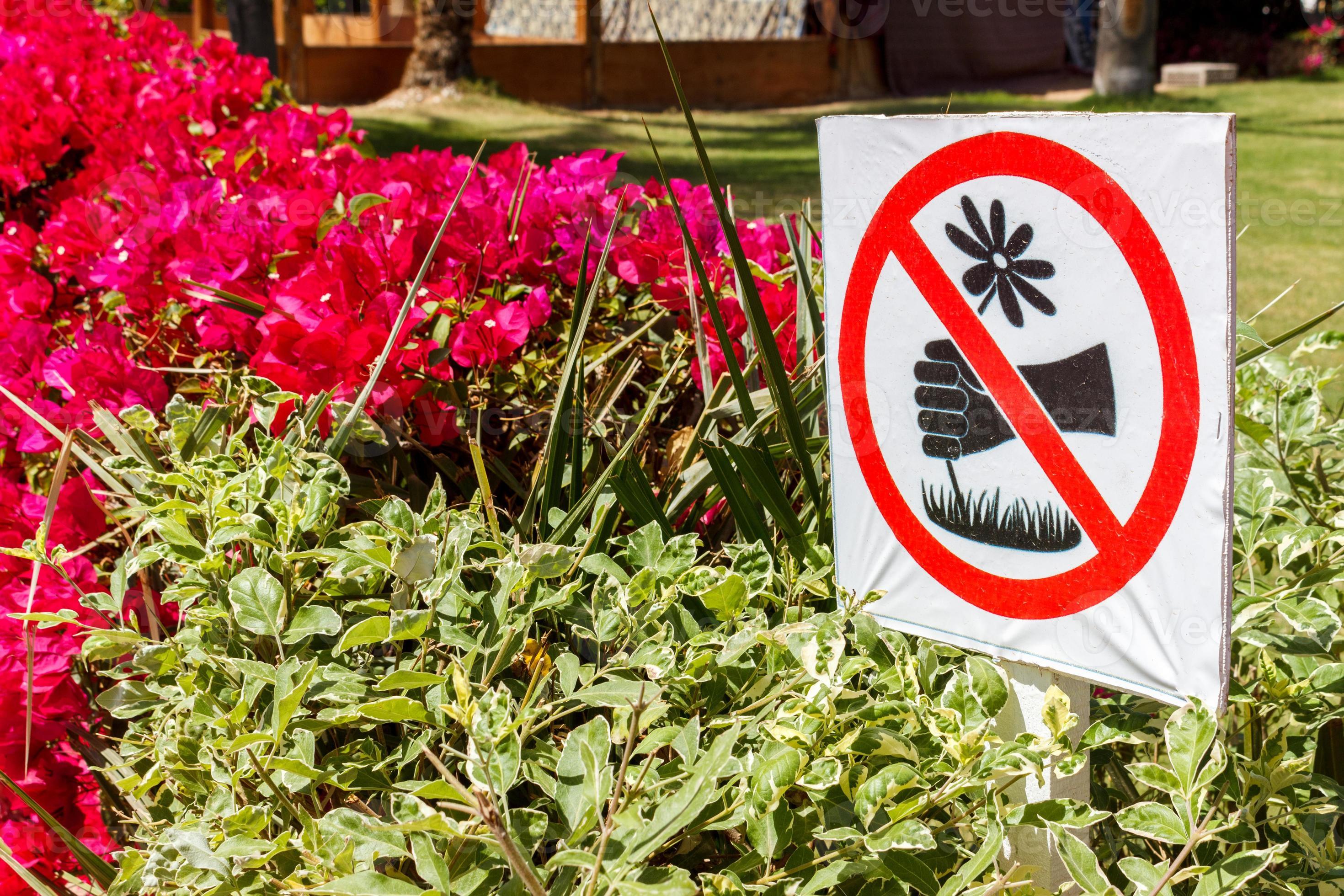 Signs in the park. does not pick flowers 13851075 Stock Photo at Vecteezy