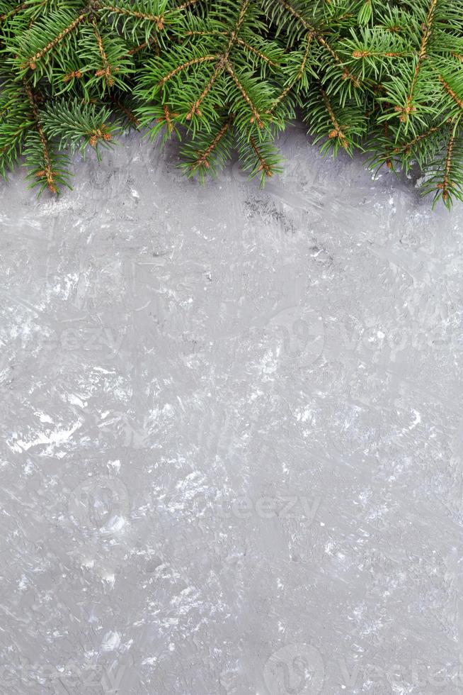 Christmas gray cement background with fir tree and copy space. top view empty space for your design photo