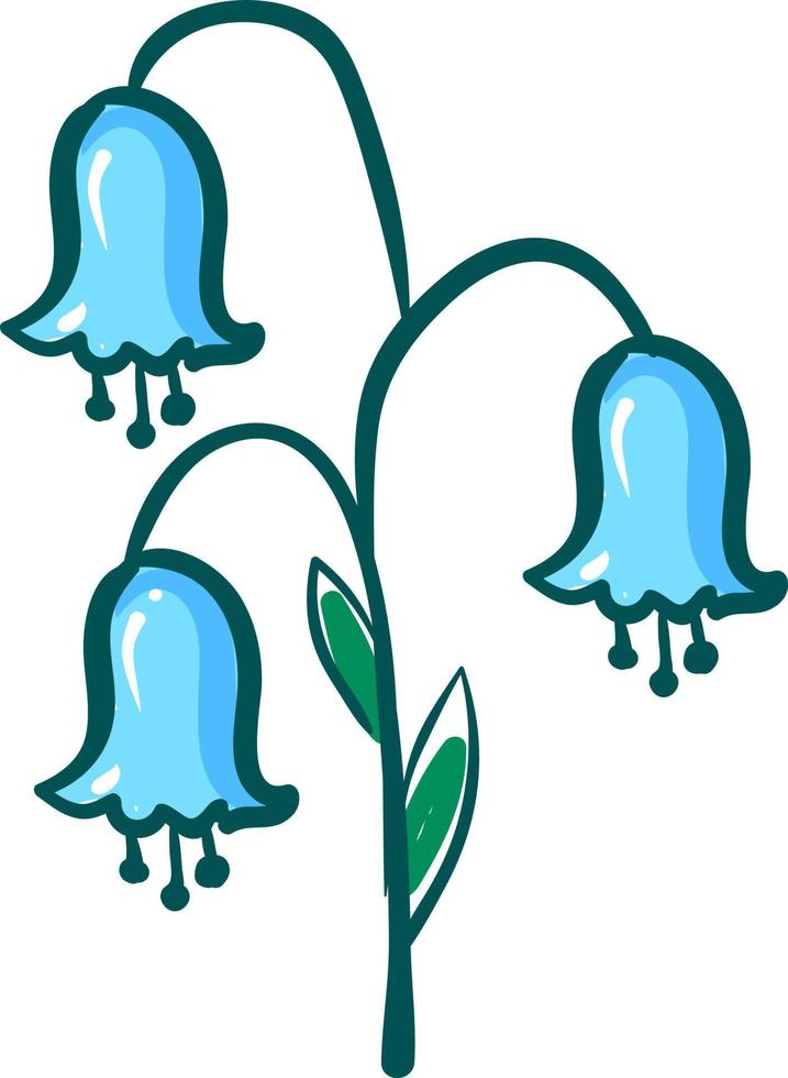 Bluebell belleza, ilustración, vector sobre fondo blanco.