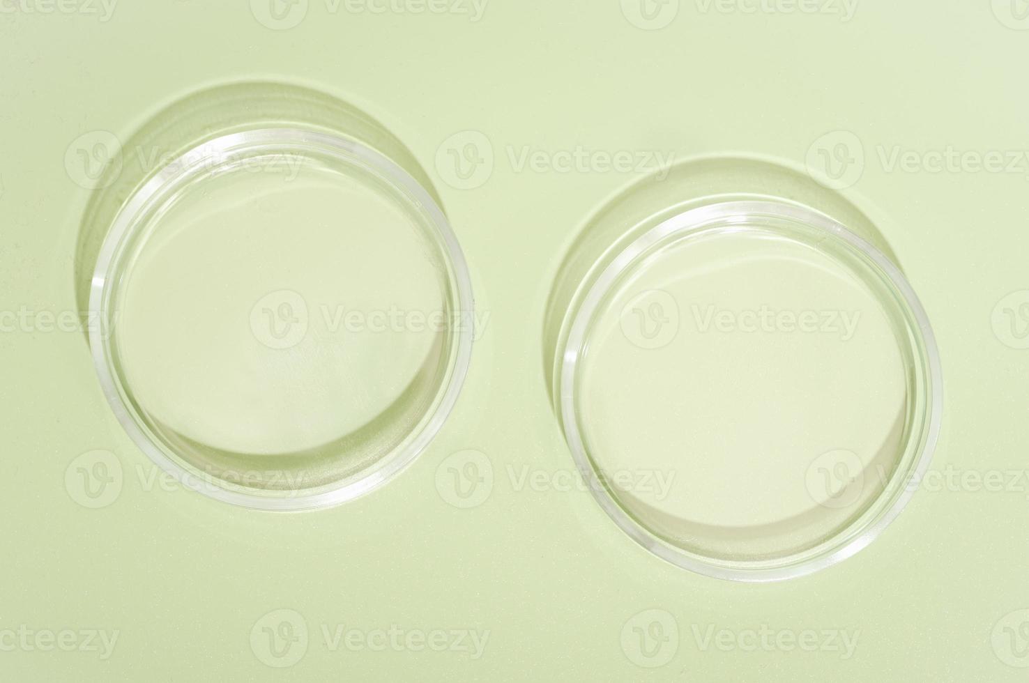 two empty petri dishes on green background. copy space. medical or pharmaceutical laboratory equipment, study and research in biotechnology and health care product development, top view photo