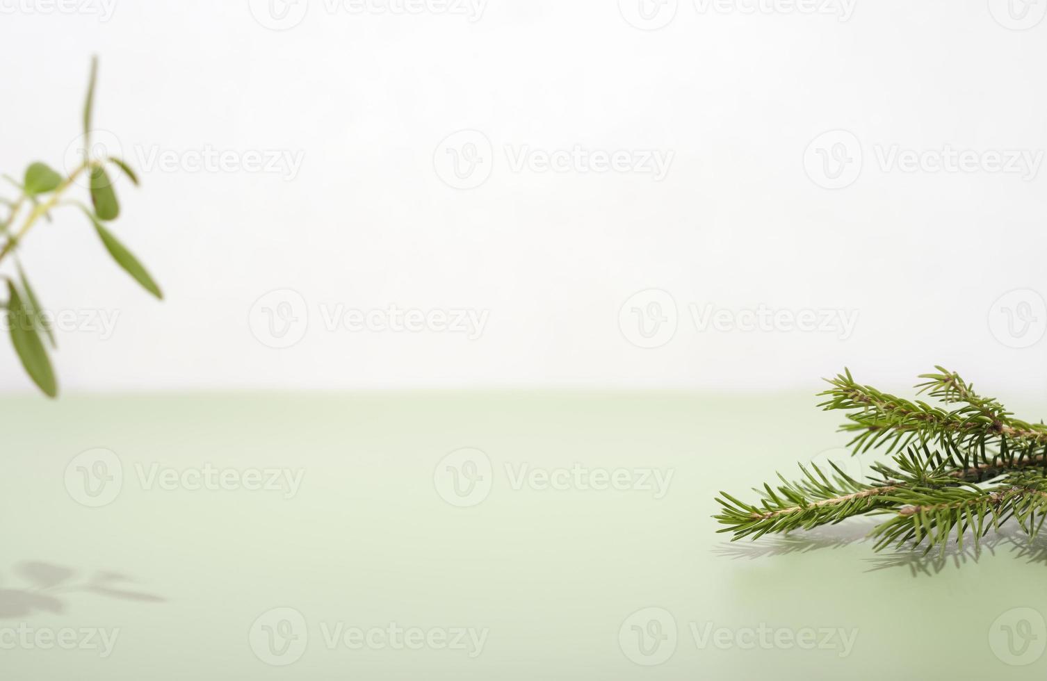 natural green table top scene for product presentation. mockup for package placement, sale promotion display with fir tree branch and green leaves. photo