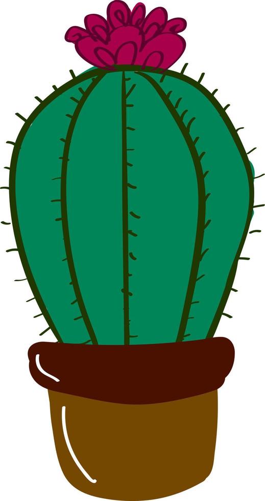 Cactus con flor, ilustración, vector sobre fondo blanco.