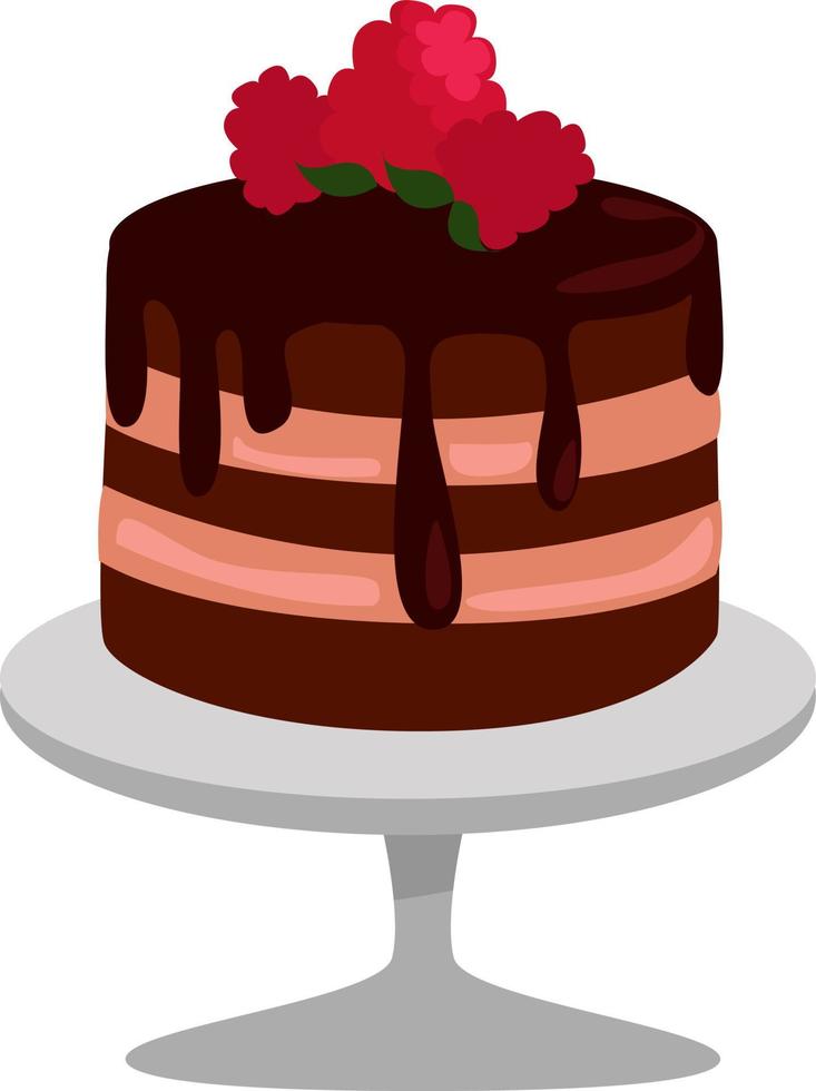 Chocolate cake, illustration, vector on white background.
