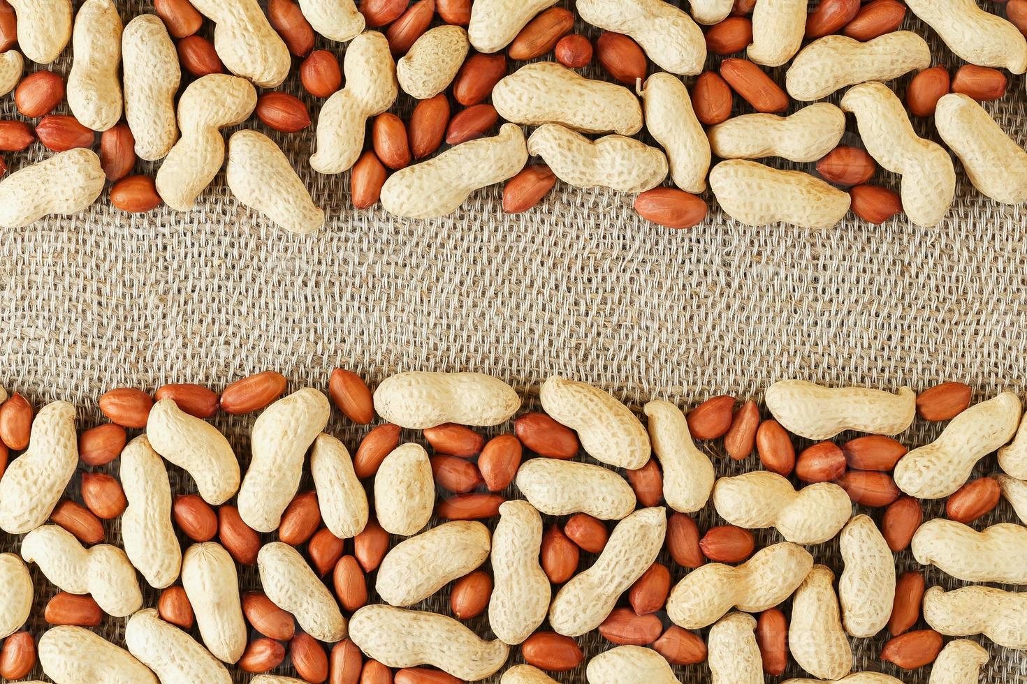 Roasted peanuts in a shell and peeled on a brown fabric background. photo