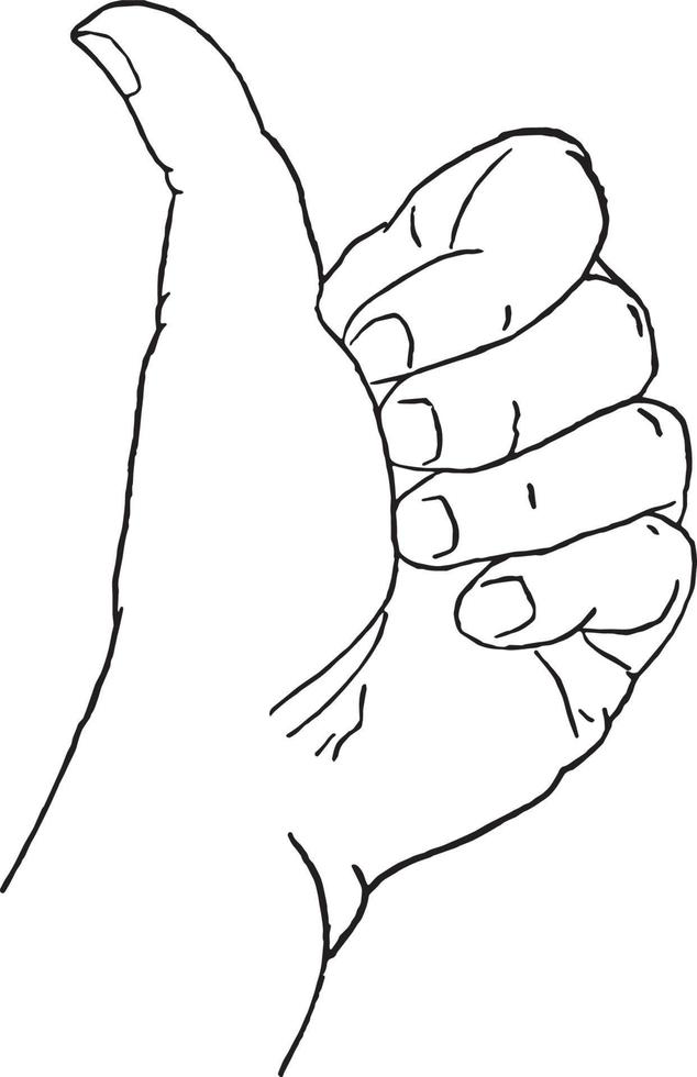 This picture represents the hands, thumbs up, vintage engraving. vector