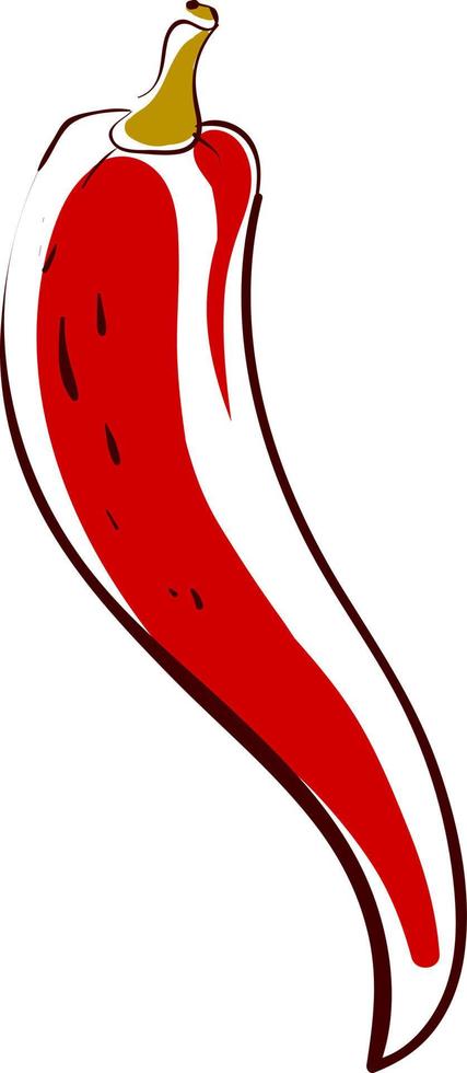 Long red pepper, illustration, vector on white background.