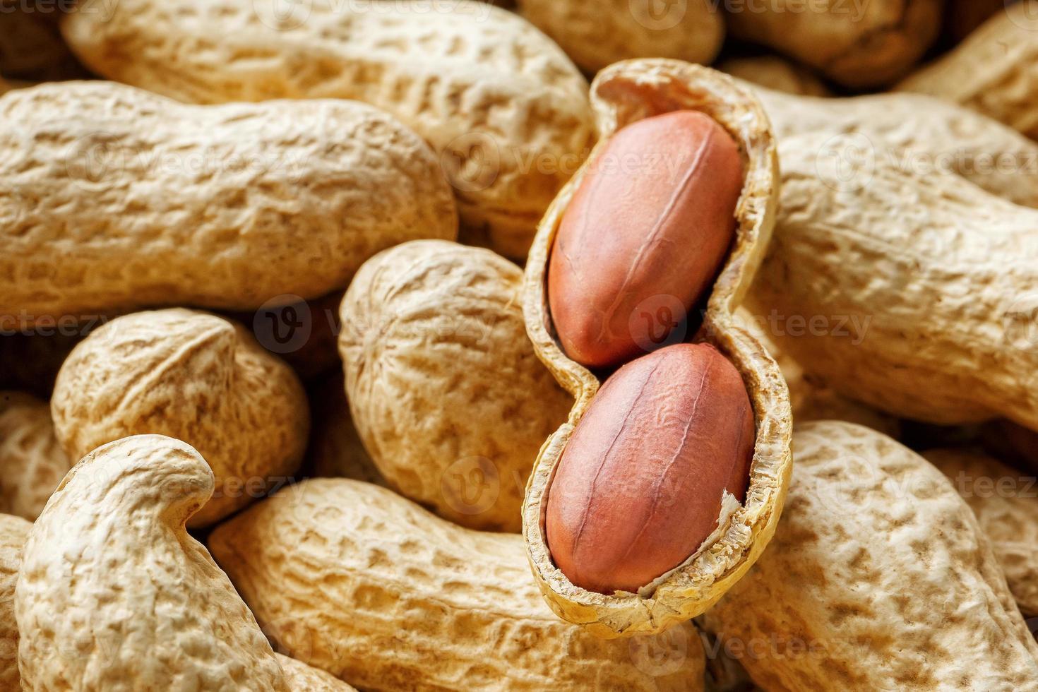 Large peeled peanuts close-up of beans in the shell. Unpeeled peanuts in the shell. Peanuts, for background or texture. Growing organic protein photo