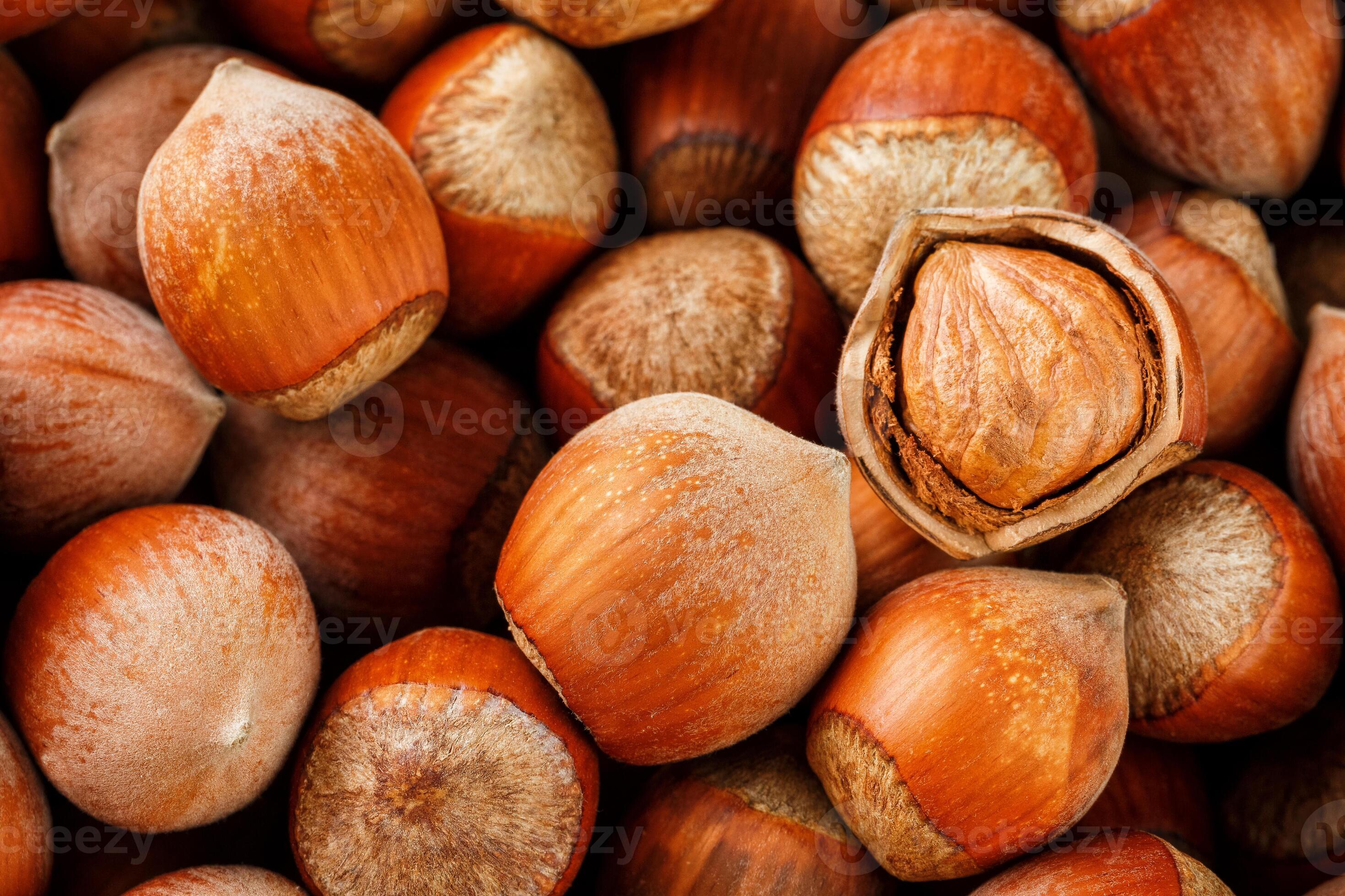 Hazelnuts. Stack of hazelnuts. Food background. Hazelnut background