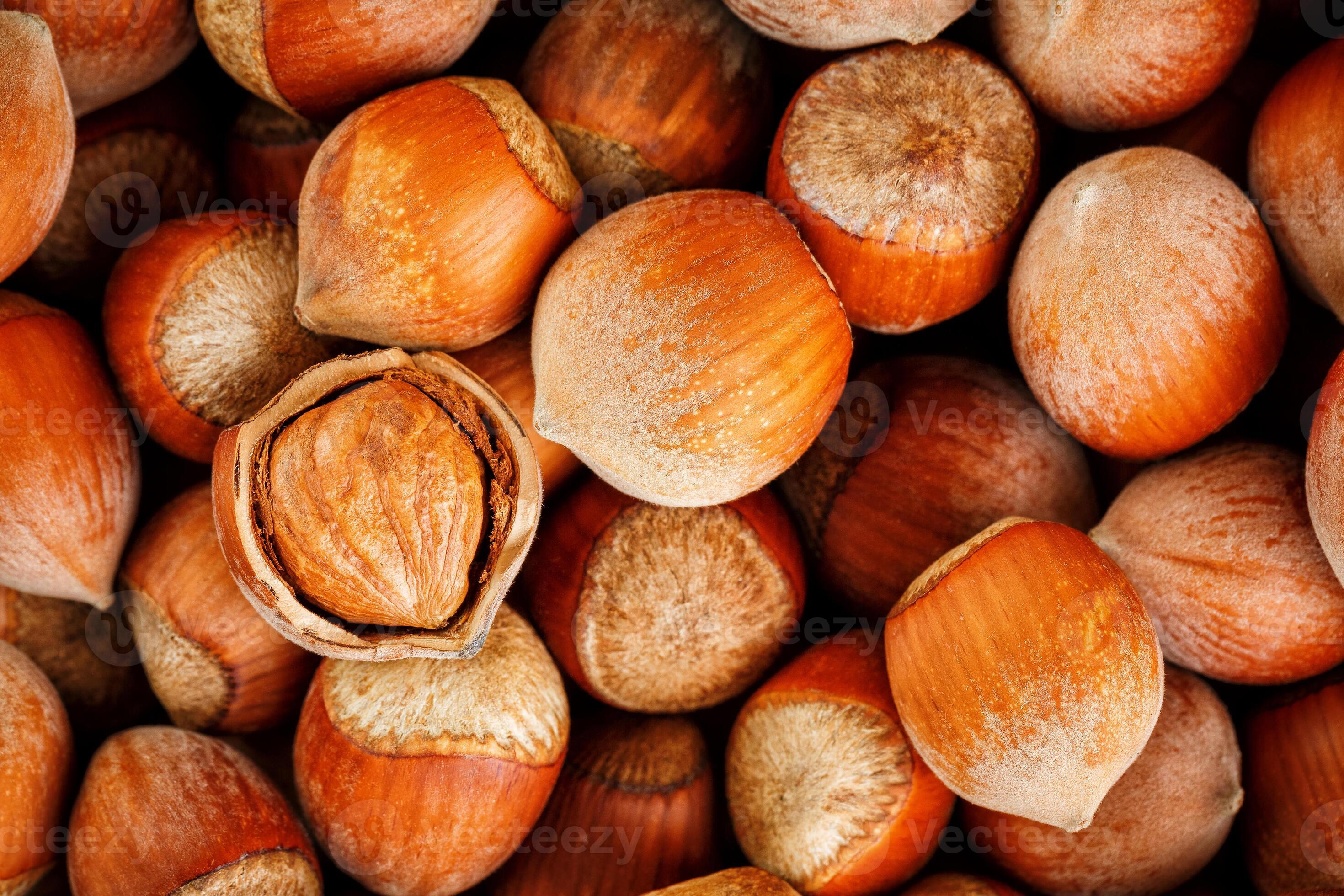 Hazelnuts. Stack of hazelnuts. Food background. Hazelnut background
