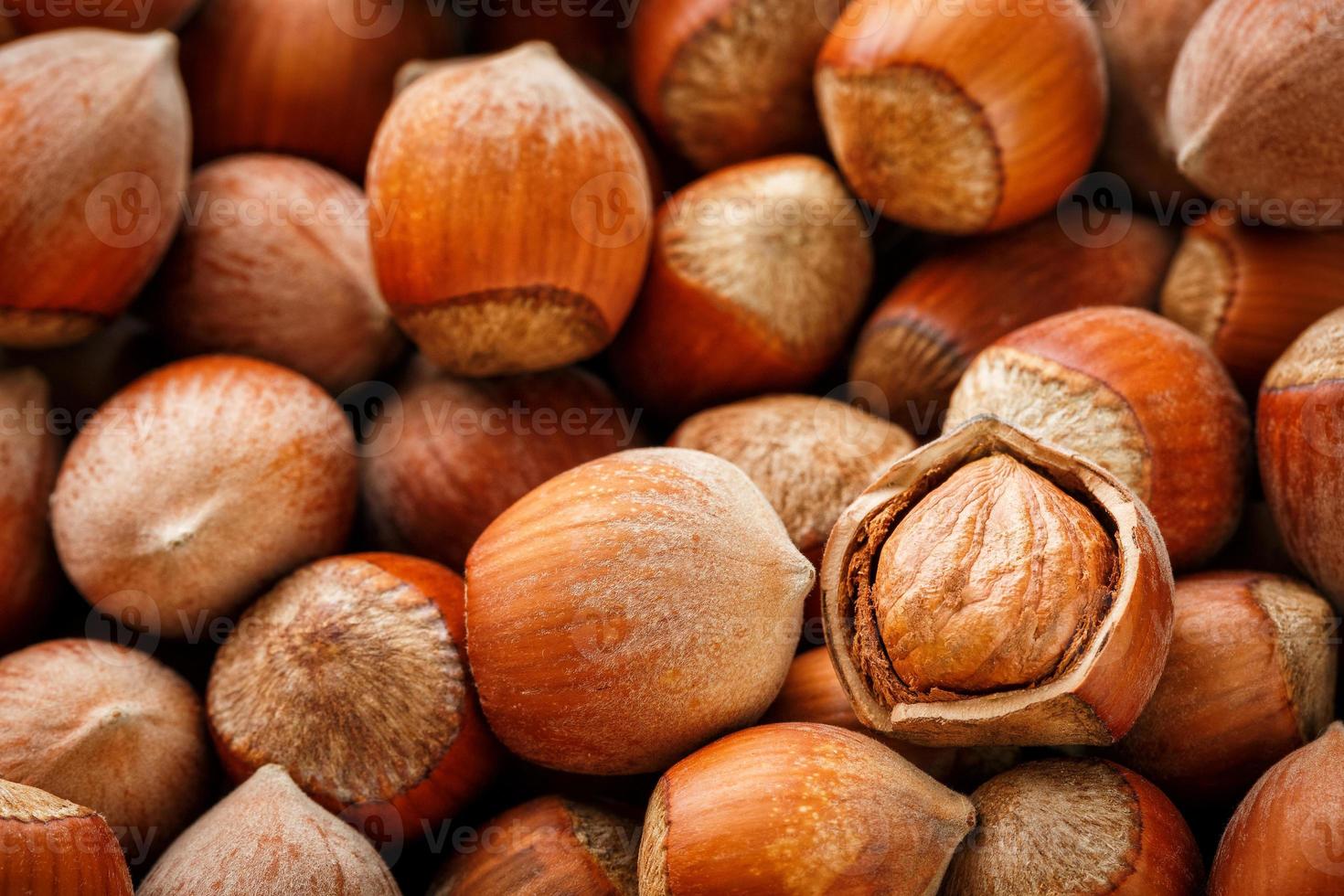 avellanas. pila de avellanas. fondo de comida. fondo de avellana. avellanas con fondo de conchas foto