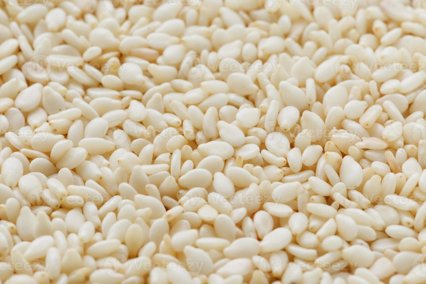 White sesame seeds background. Useful seeds for cooking photo