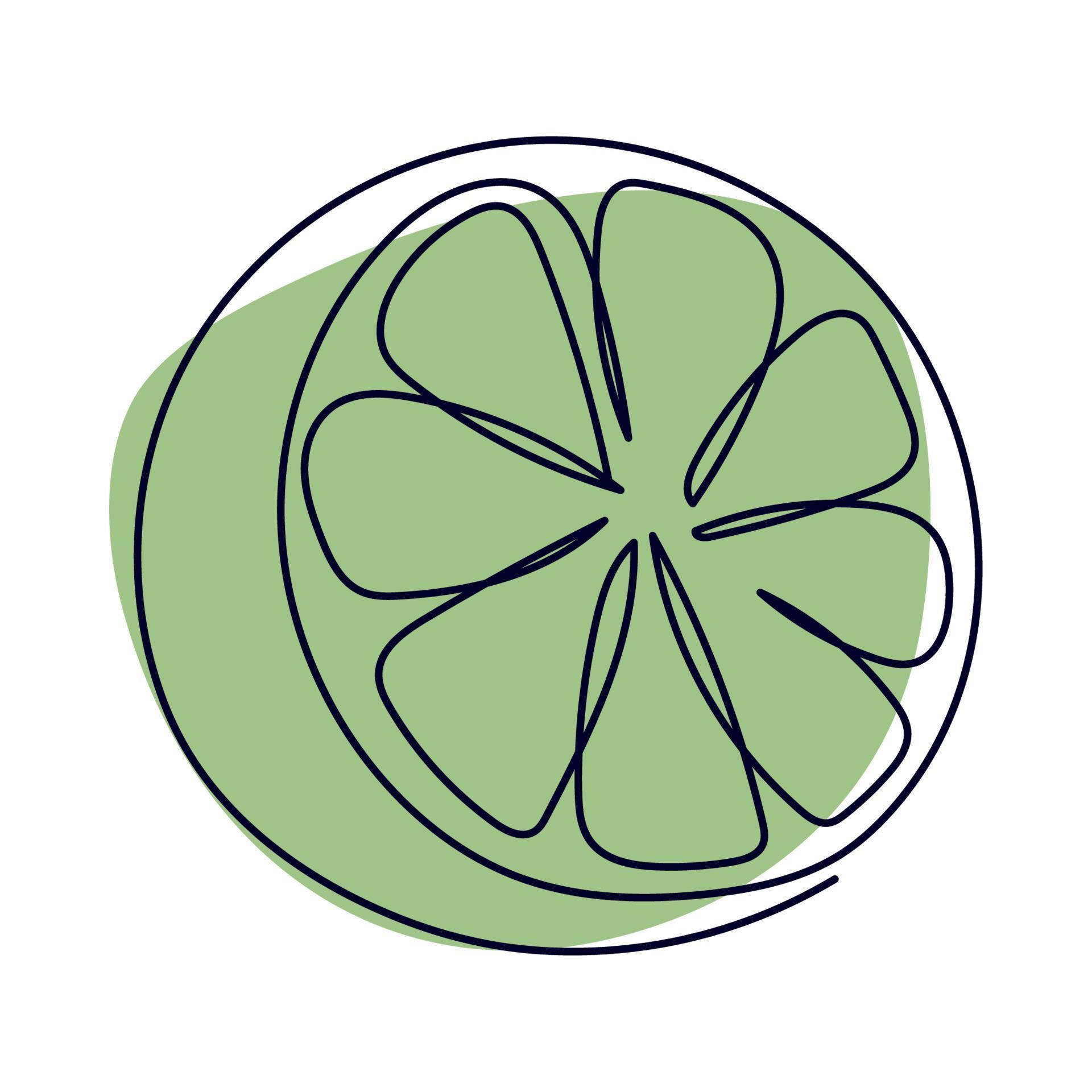 lemon line drawing 13854730 Vector Art at Vecteezy