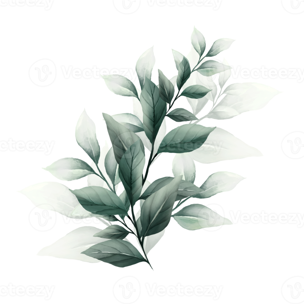 Bouquet of watercolor leaves png