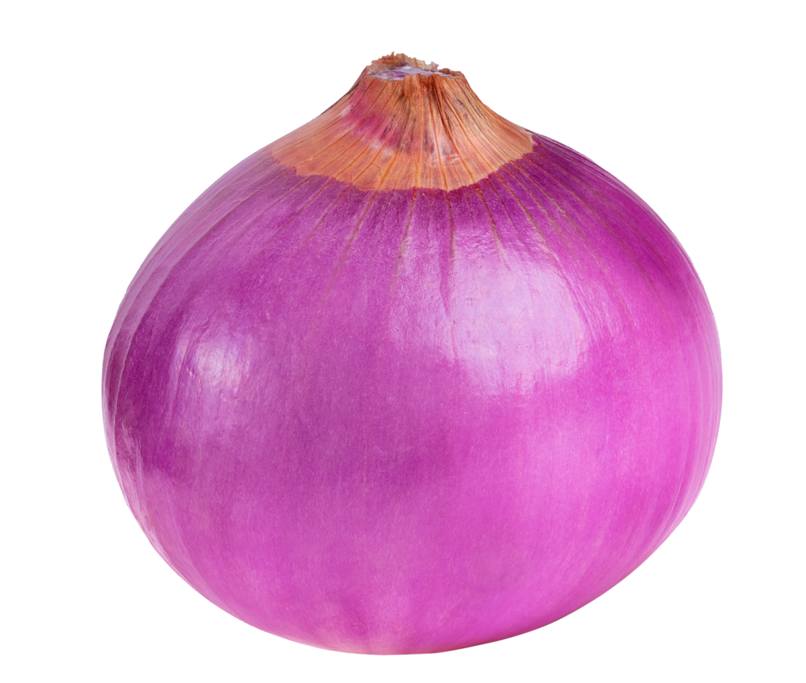 red onion isolated png